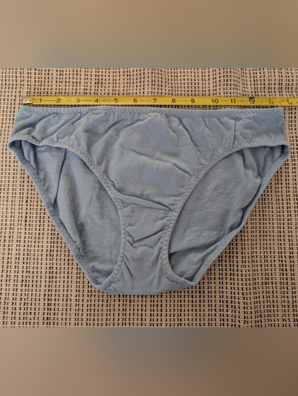 NWOT Pansy Low Rise Underwear in Sky Blue
